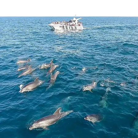 #074 Casa Dos Arcos By Holidays * 알부페이라