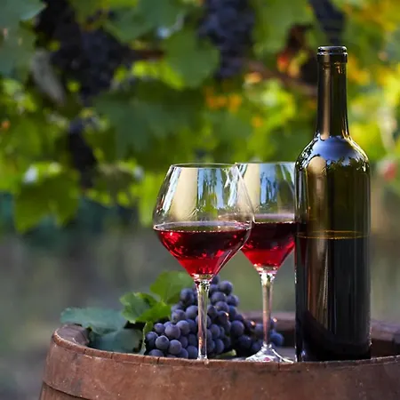 #074 Casa Dos Arcos By Holidays 아파트 알부페이라