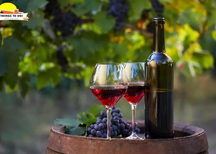 #074 Casa Dos Arcos By Holidays 公寓 阿尔布费拉